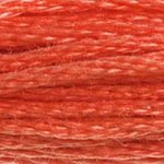 Hilo de Bordar Mouline DMC 117