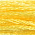 Hilo de Bordar Mouline DMC 117