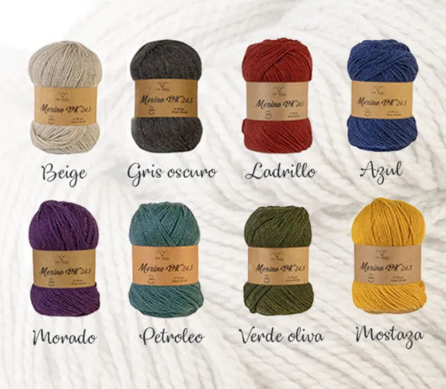 Lana Merino Dk 24.5 Teñida 100% Oveja Topwool 100 Grs.