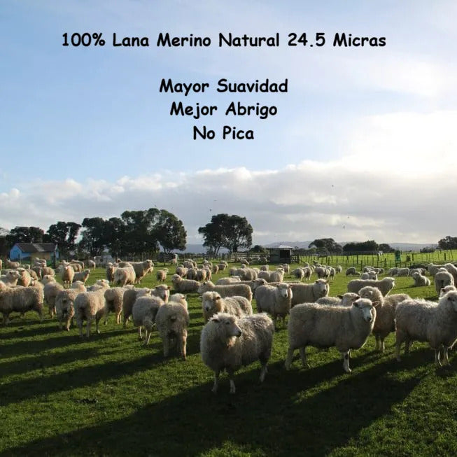 Lana Merino Dk 24.5 Teñida 100% Oveja Topwool 100 Grs.